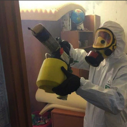 Уничтожение клопов в квартире. Емва